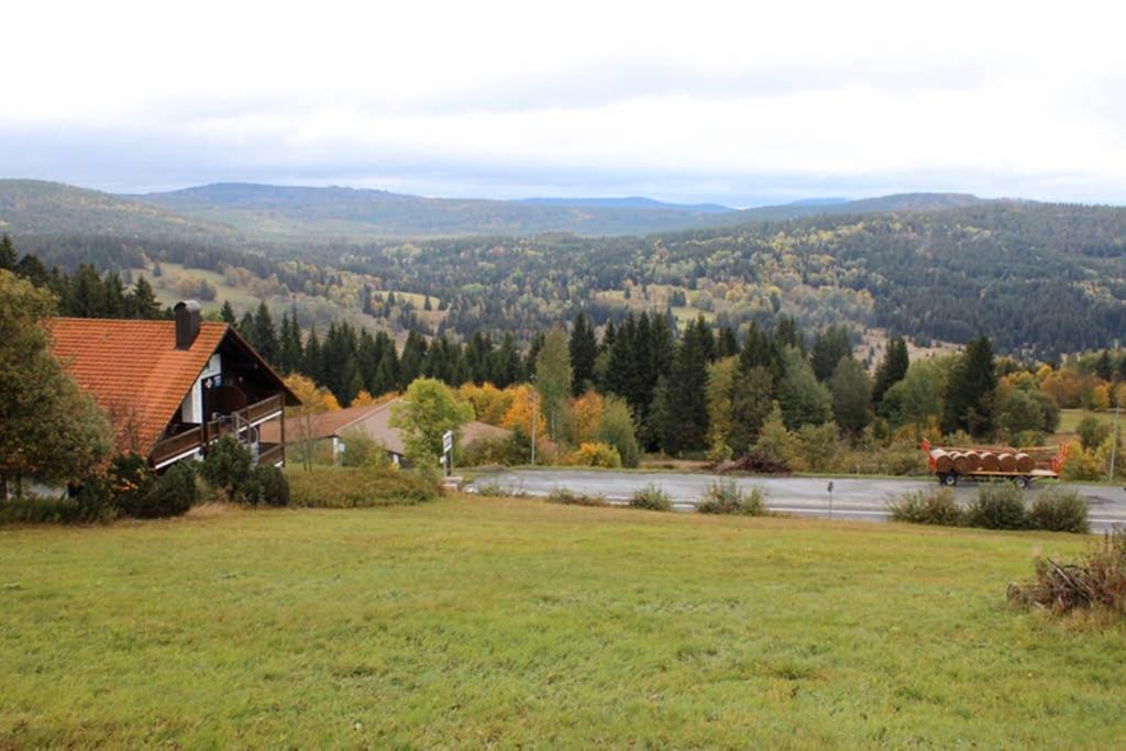 279 Mitterdorf Philippsreut